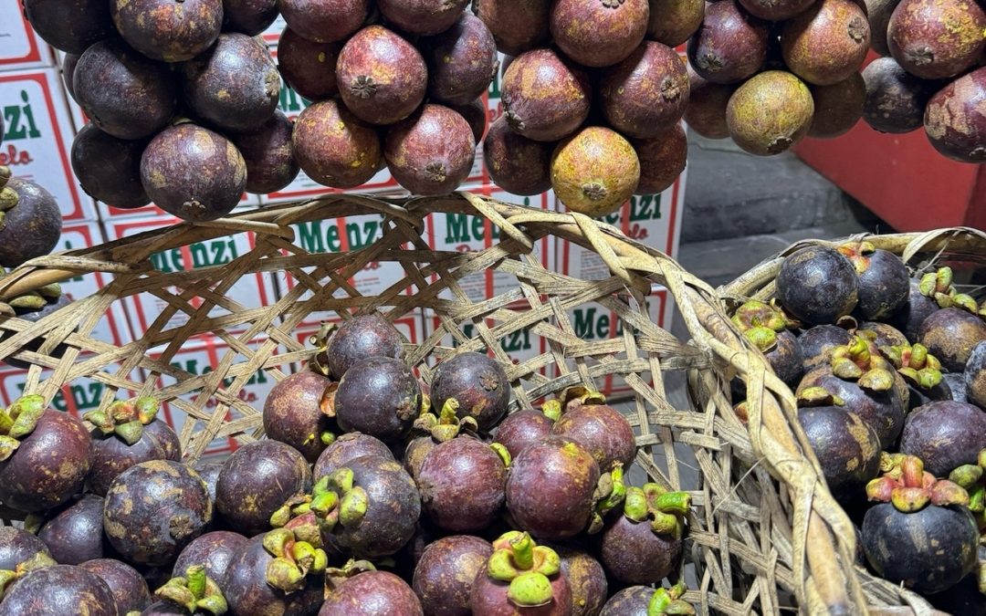 Mangosteen Fruit (Garcinia mangostana)